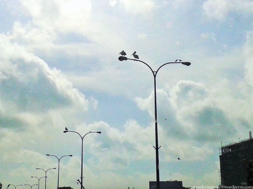 1 Street light Colombo RF